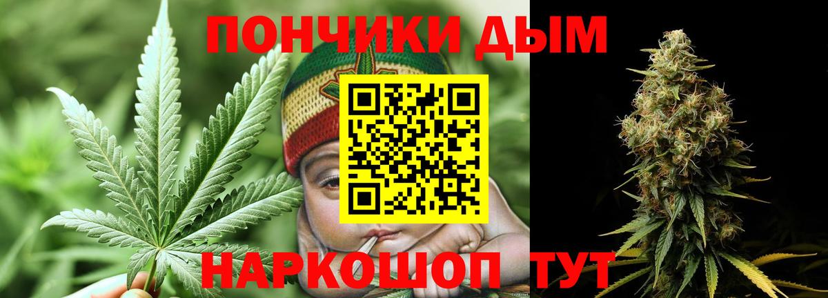 ГАШИШ Королёв